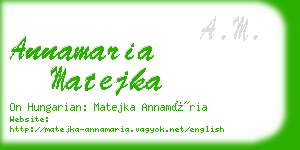 annamaria matejka business card